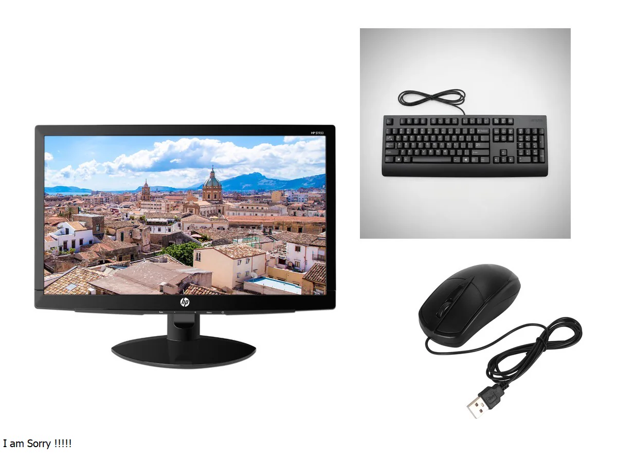 Monitor HP S1933 con teclado y mouse USB